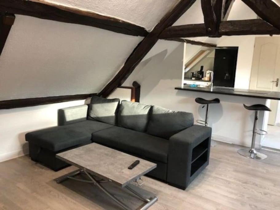 La Maison Gauloise - Asterix Cdg Paris Apartment *